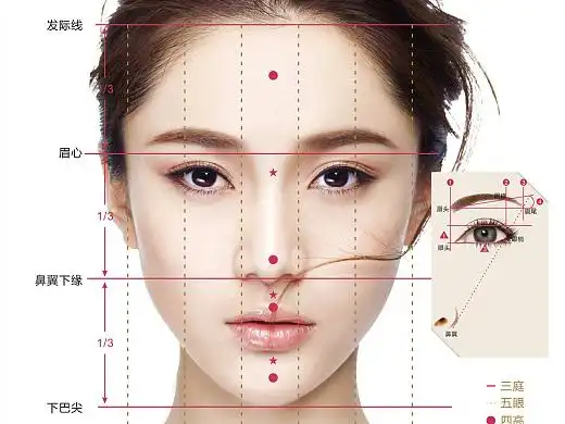 平面—技术介绍,引导牌,三庭五眼平面-海报1217045年前平面—脱发分级