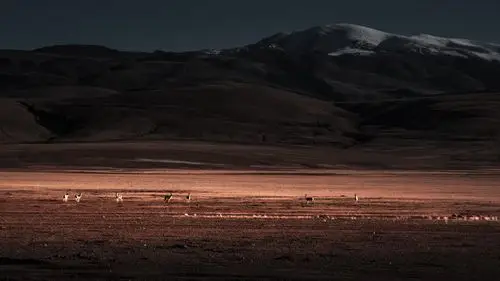 香港中国旅游资深签约摄影师王隽斌的高级灰