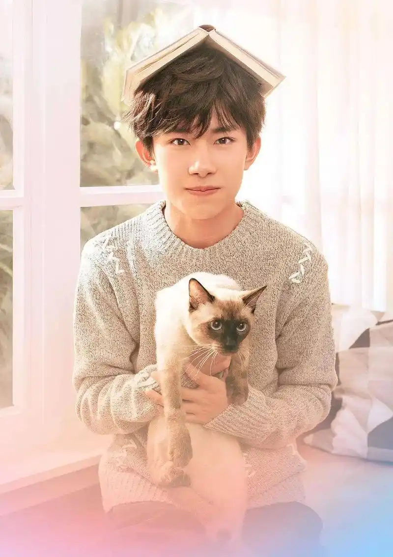 易烊千玺 #千玺 #猫 #可爱到爆炸99 #易烊千玺抱猫  - 抖音