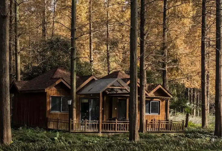 犹如童话世界中的森林小木屋.