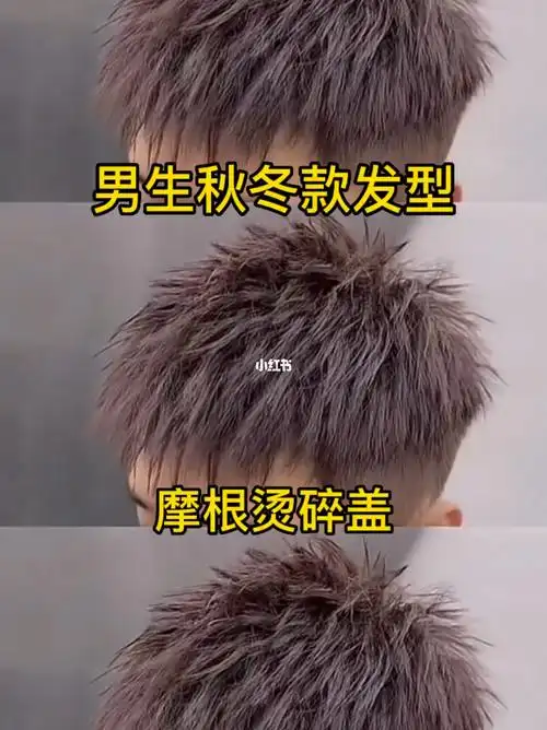 发根蓬松显白男生发色 潮男短发 气垫烫 日系短发钢夹烫 纹理烫 烟花