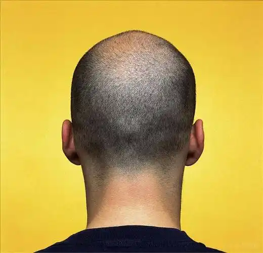 男人,后脑勺,光头,短发素材_男人,后脑勺,光头,短发设计素材_男人