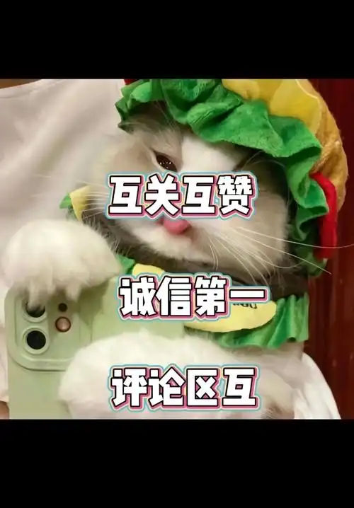 互关互助,大家一起涨粉丝 - 抖音