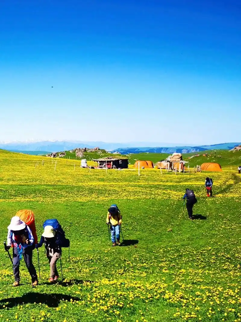 我在伊犁草原|等你一块去喀拉峻徒步