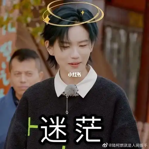 兰兰表情包第一弹～#陆柯燃  #表情包分享