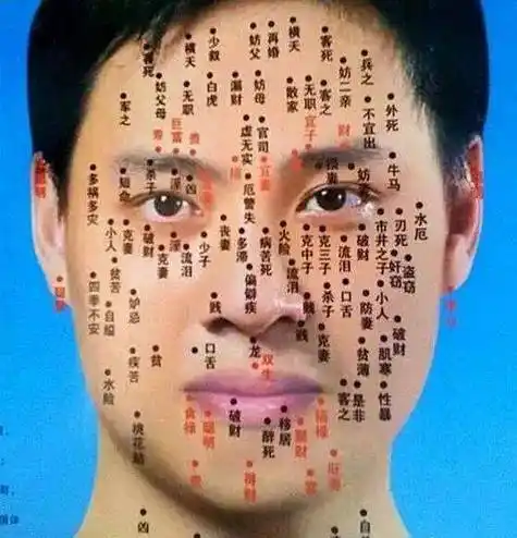 后背的痣的命运图 男人后背的痣的命运图