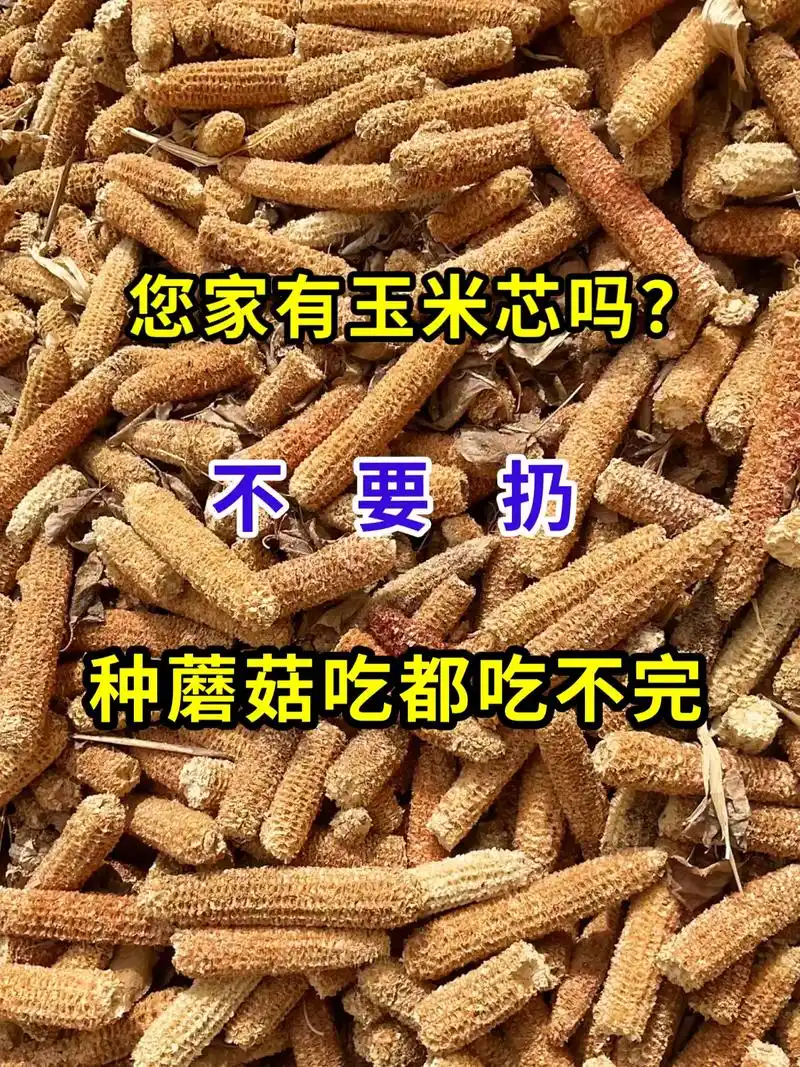 分享农业知识帮农民增产增收 #农业种植 #玉米芯种蘑菇 # - 抖音
