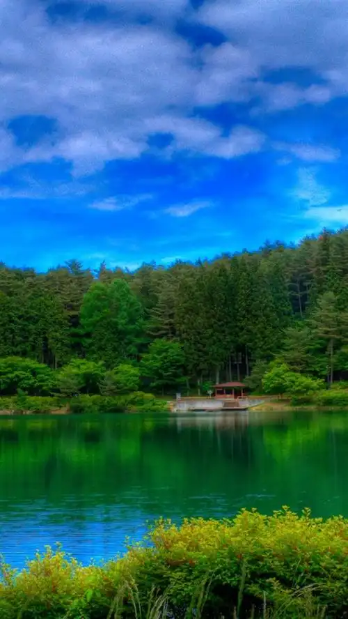 壁纸 森林,绿色,湖泊,蓝天,云彩 2560x1600 hd 高清壁纸, 图片, 照片