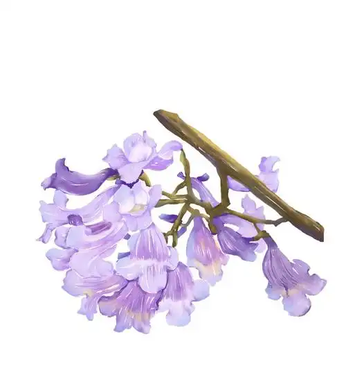 世界春城花都,赴一场春暖花开之旅 | 手绘花都,把春城鲜花画进掌中_昆