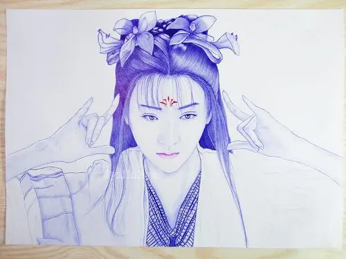 圆珠笔手绘《火王之破晓之战》景甜