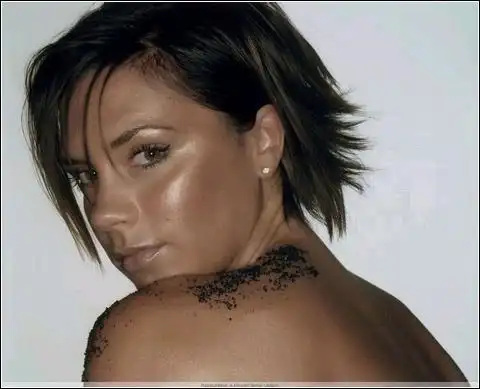 足球明星妻子惊艳绝伦(组图)