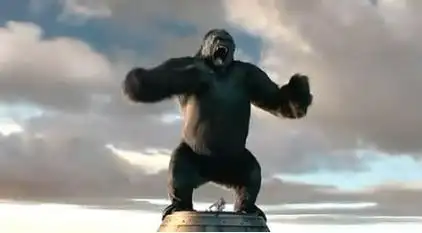 上火怎么办一一大猩猩捶胸顿足的道理 1