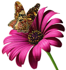 271_287gif 动态图 动图