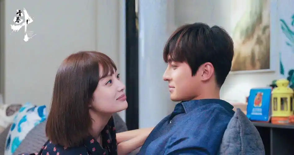 2019最新都市生活剧青春斗