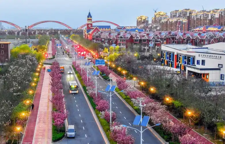 中新天津生态城绿色发展逐梦未来创建国家绿色发展示范区取得明显成效