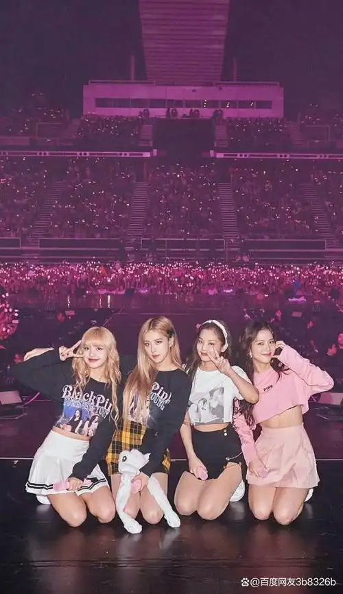 blackpink澳门演唱会:闪耀舞台,征服万众瞩目