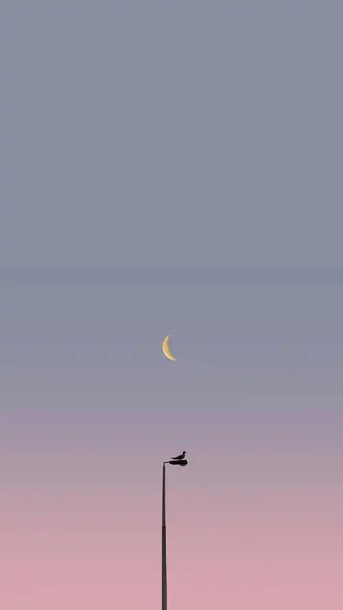 神仙ins风温柔治愈仙女背景图