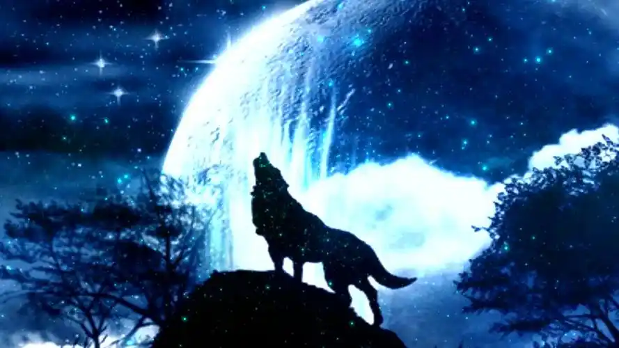 饿狼传说狼图腾月夜孤狼神秘狼