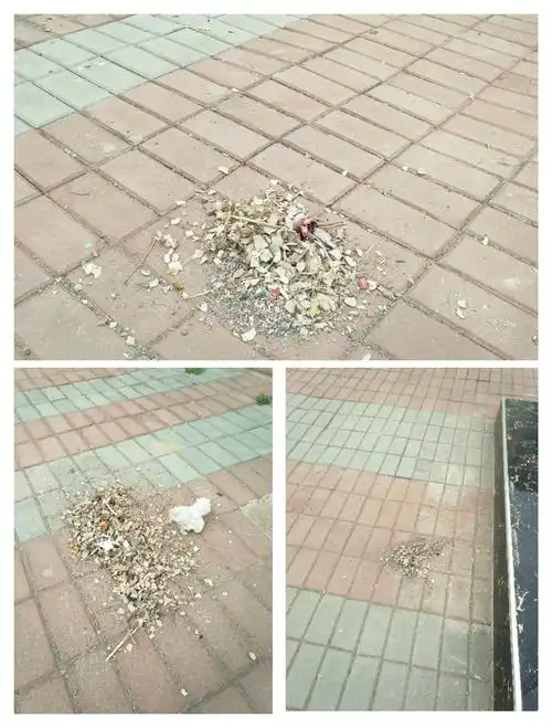 不一会儿,就把纸屑扫到了一起.