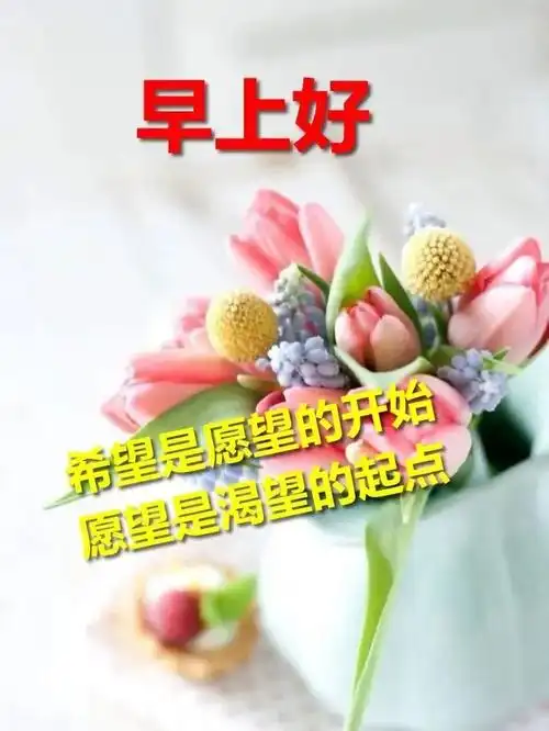 夏天早上好心情祝福语大全最美的早上好祝福语动态表情图片