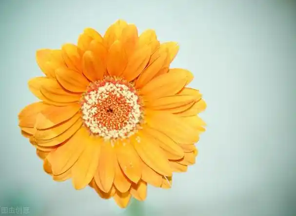 唯美图片加励志文案(2020奋斗励志图片)_八零一句子