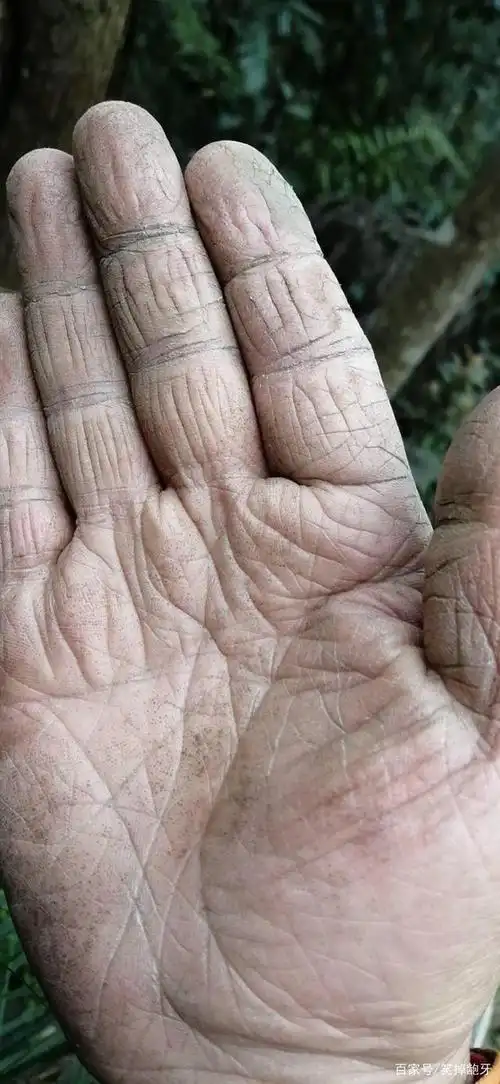 佛曰:好美的一双手