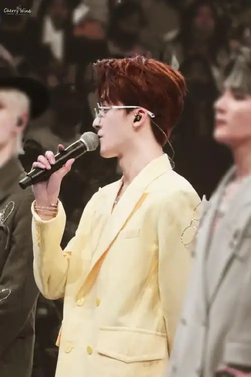 何洛洛粉丝无人机应援