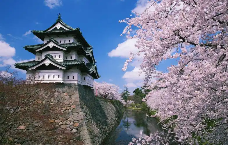 日语到底难不难你的母语程度一定因素决定了你的外语水平