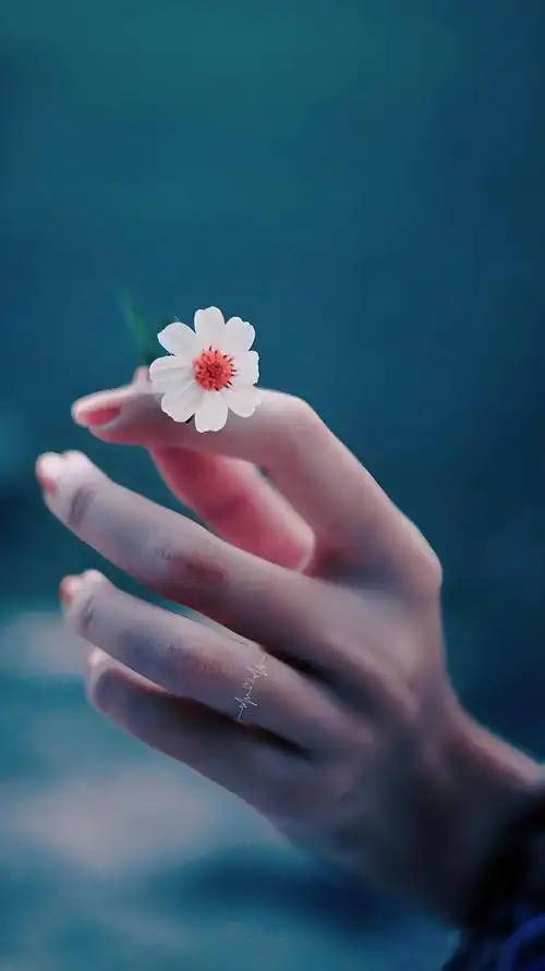 集资作业7:10个家务习惯引领强者风范