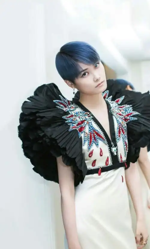 超女李宇春近况如何,李宇春:越努力越尴尬的超女