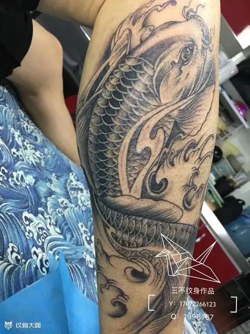 小腿鲤鱼_纹身图案手稿图片_红尘的纹身作品集