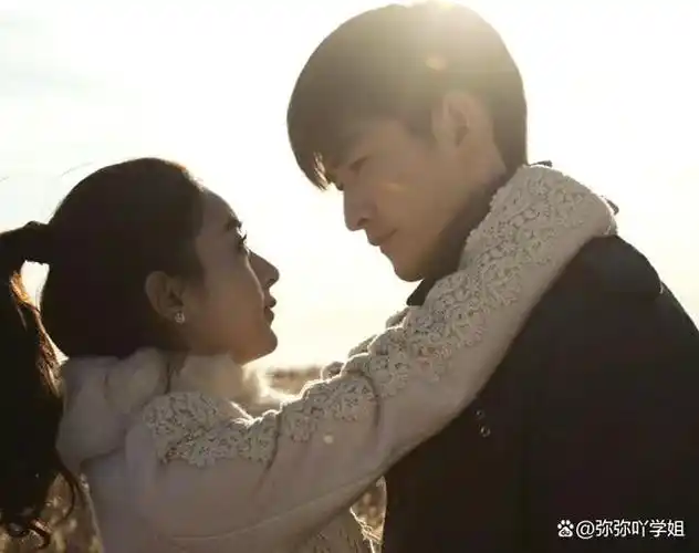 这些都是赵丽颖主演的电视剧呀