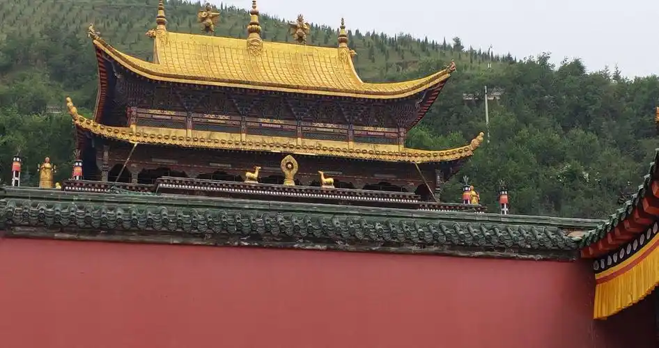 遇见——塔尔寺