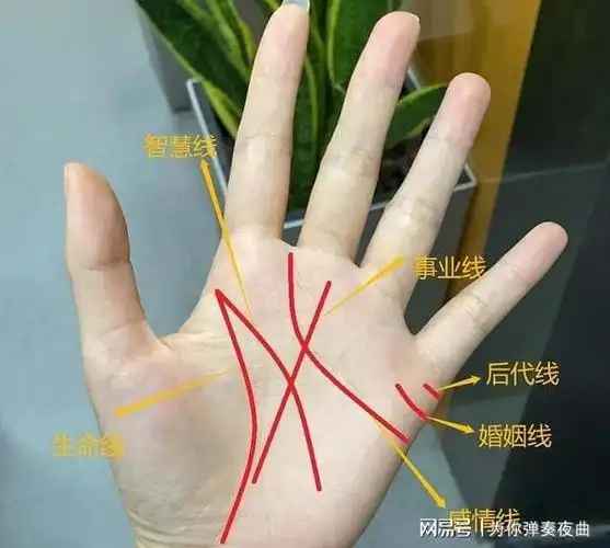 老祖宗俗语三角纹在手富到九十九三角纹在哪里准不准