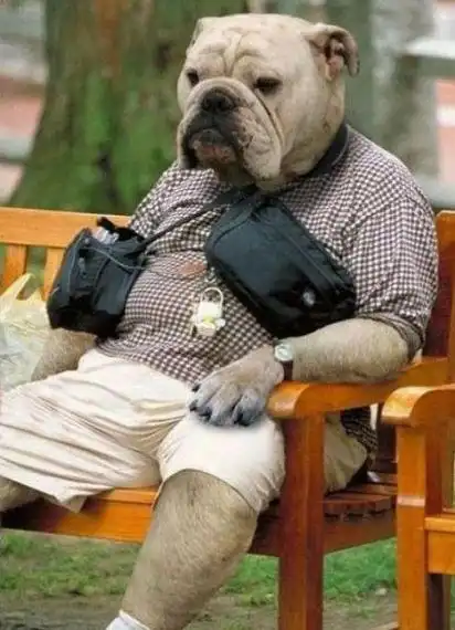 100个搞笑恶搞图片