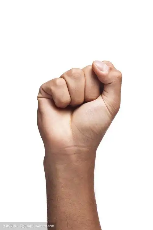紧握的拳头