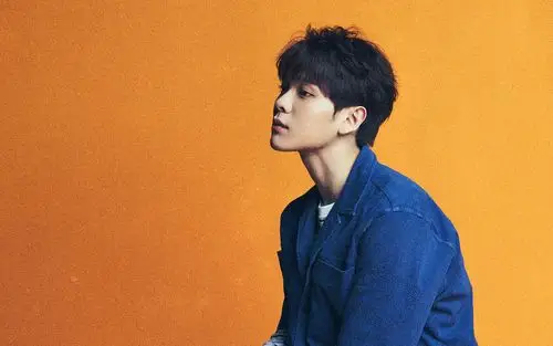 nine percent个人海报图片壁纸