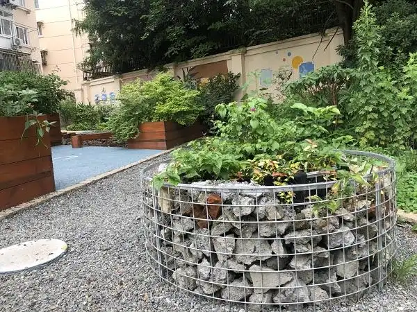 身边自然|社区花园:与上海邂逅城市更新下的"好玩社区"