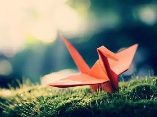 记忆里的千纸鹤唯美意境图片大全