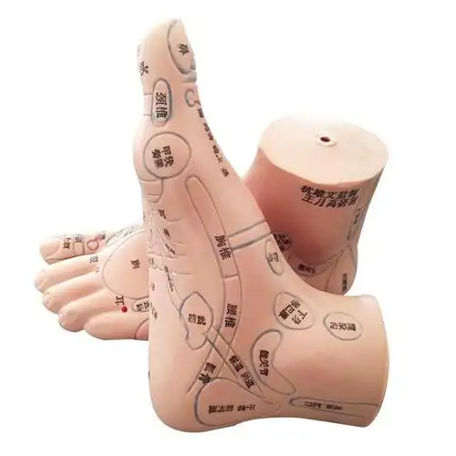 俗语:"寿命长不长,低头看看脚",真能从脚看得出人的寿命吗?