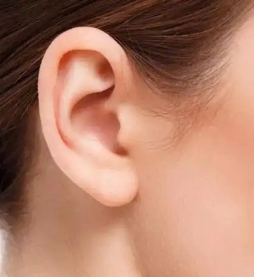 除此之外,对耳廓的形状也有要求.