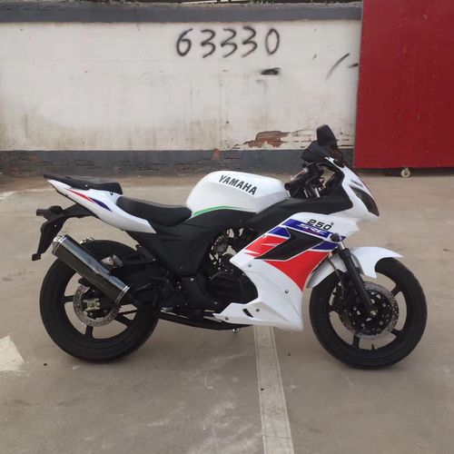 r2地平线250排量跑车趴赛小忍者单缸350双杠400水冷摩托带手续2手