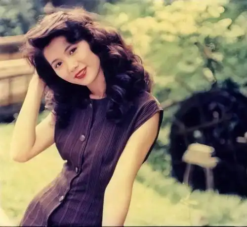 港风复古头像之香港小姐袁咏仪——独家高清系列