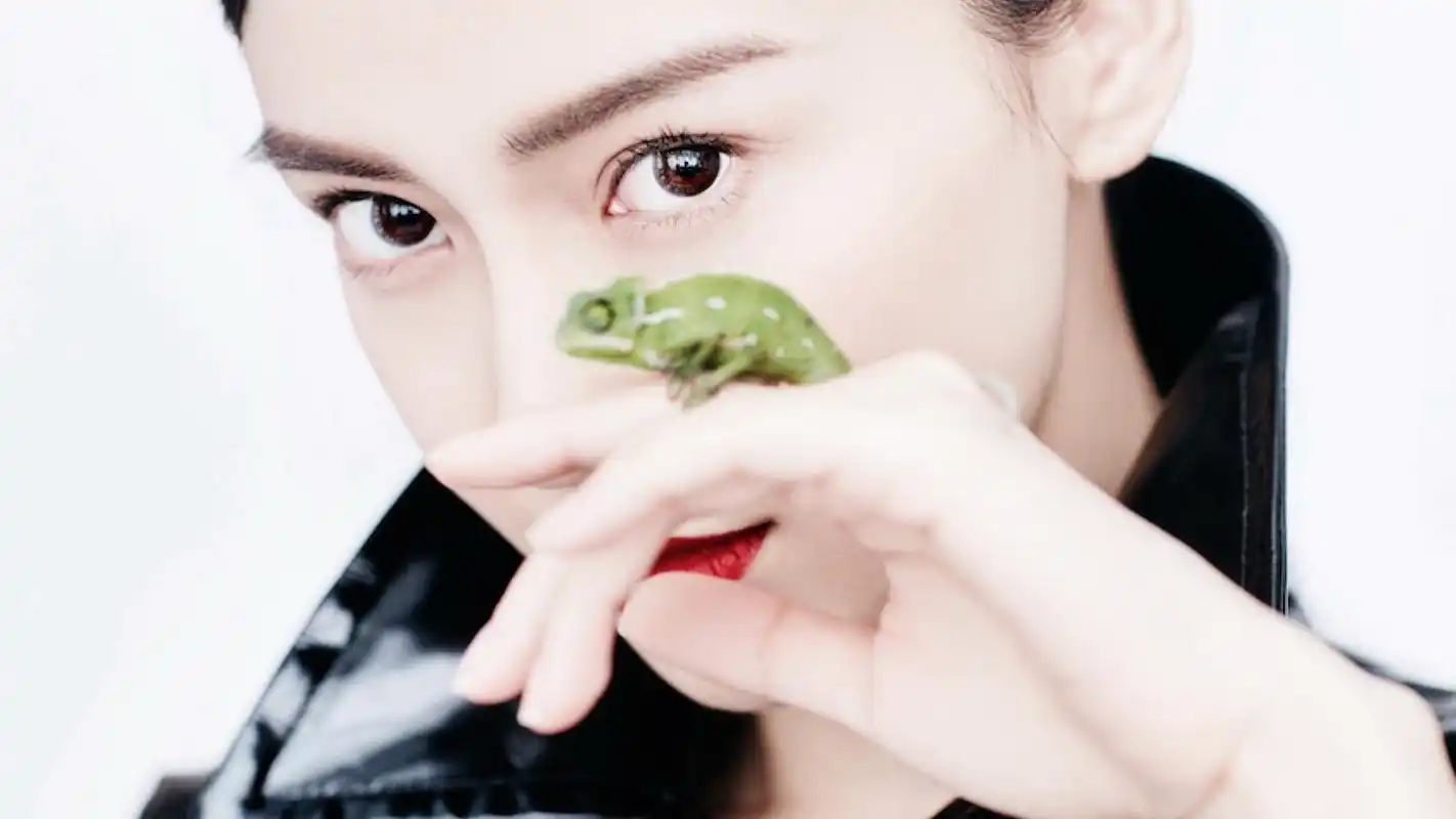 angelababy杨颖清新养眼写真图片桌面壁纸