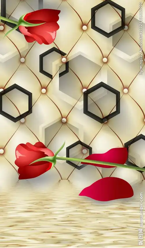 3d玄关背景墙图片