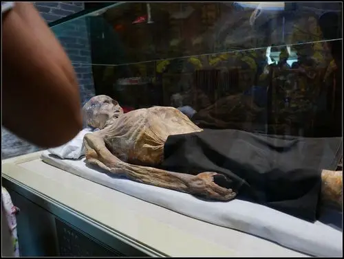 s视野新疆古干尸逝者越千年