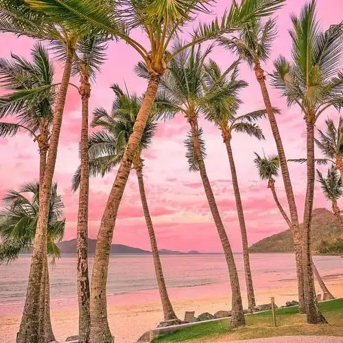 印尼这一片粉色沙滩美炸了