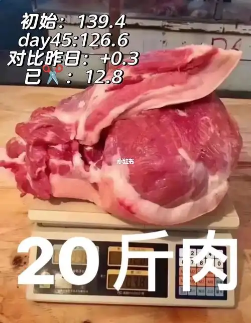 减掉20斤需要多久~day45