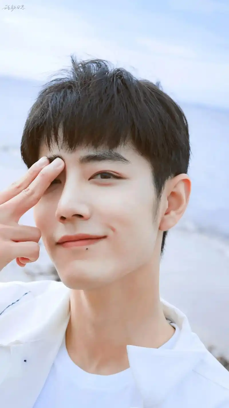 肖战 夏天的风来了!#治愈系笑容 #肖战顺顺利利  - 抖音