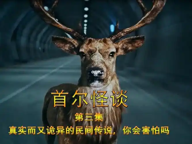 第三集齿虫一种齿线虫让人瞬间变丧尸